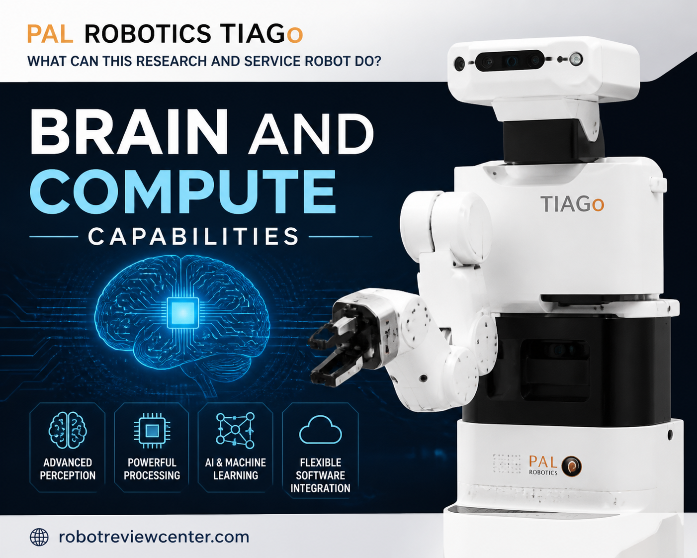 Brain and Compute Capabilities Brain and Compute Capabilities