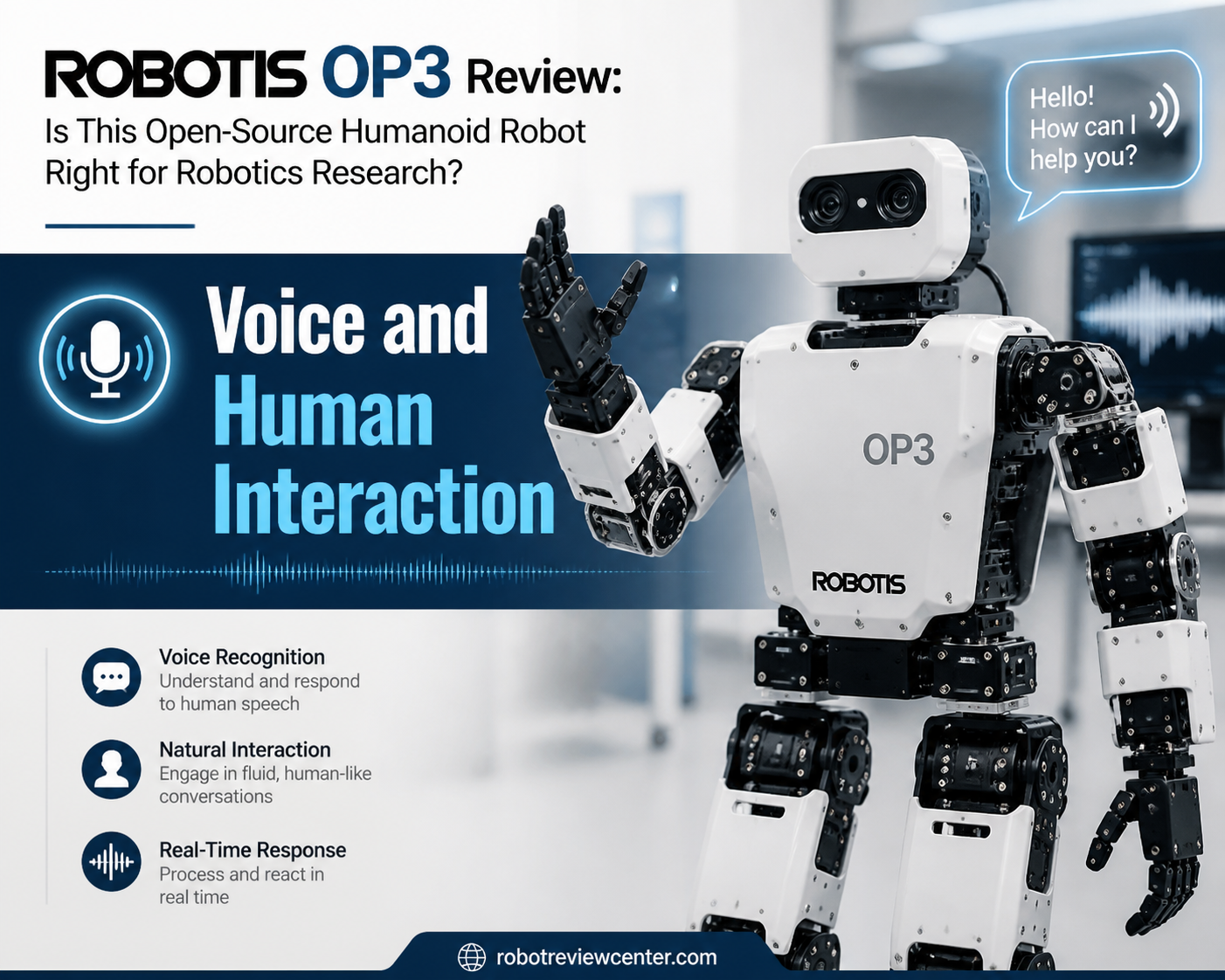 Voice and Human Interaction