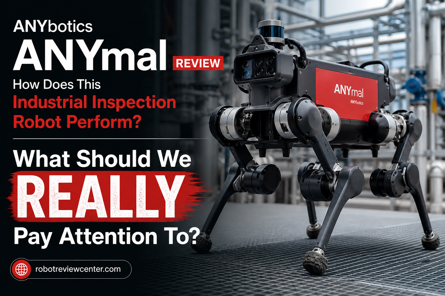 What Should We Really Pay Attention To? What Should We Really Pay Attention To?