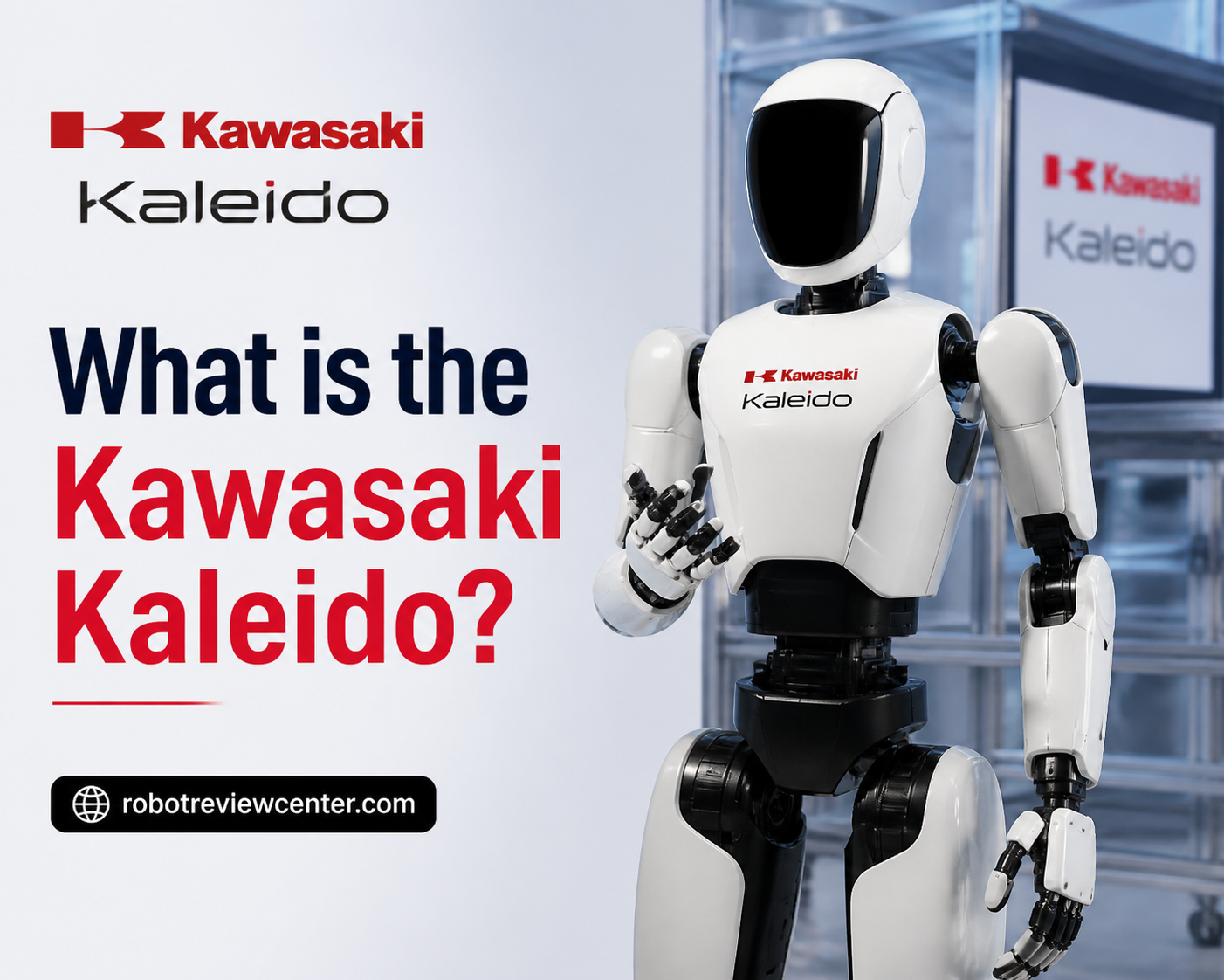 What is the Kawasaki Kaleido? What is the Kawasaki Kaleido?