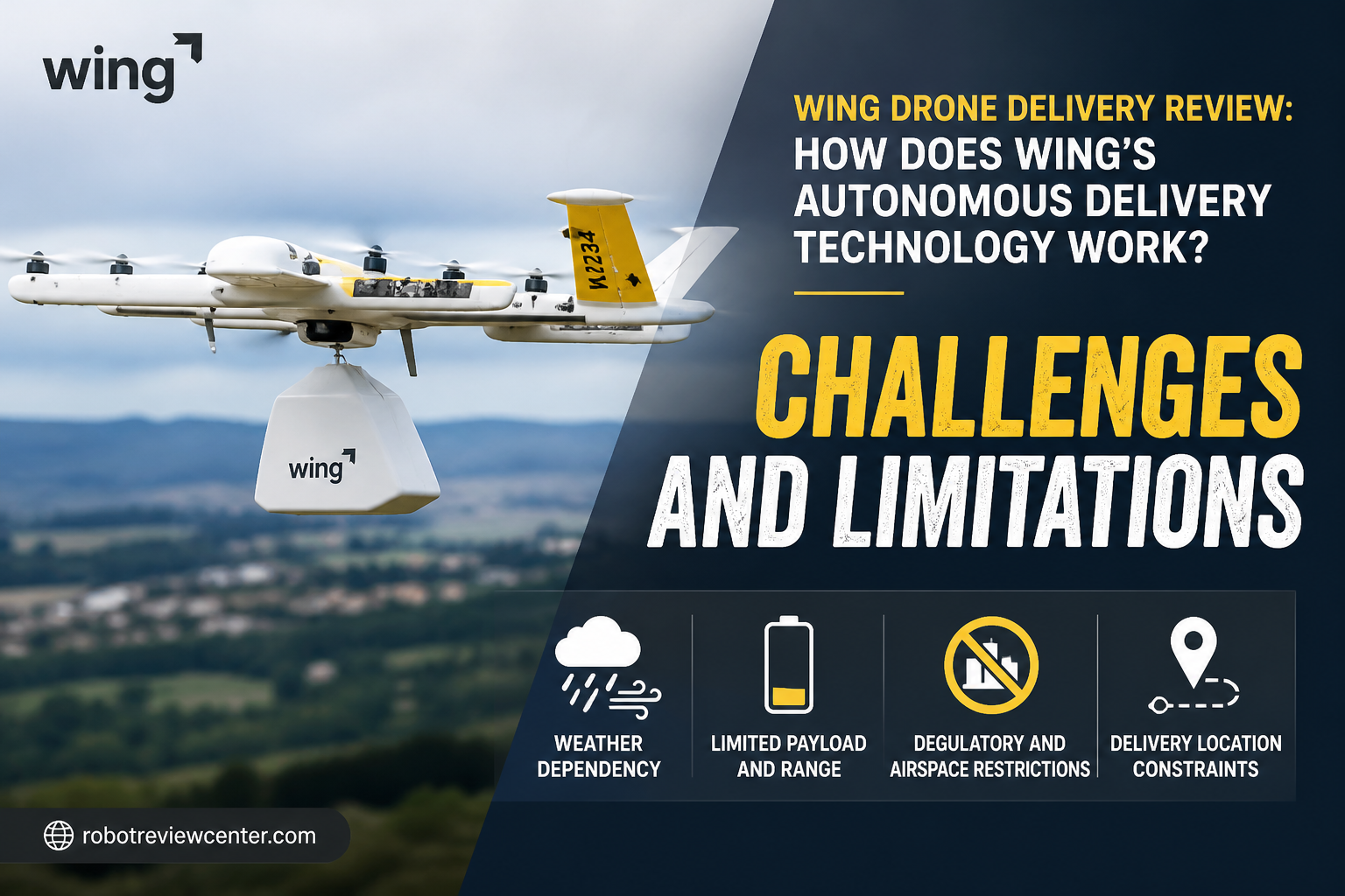 Challenges and Limitations Challenges and Limitations